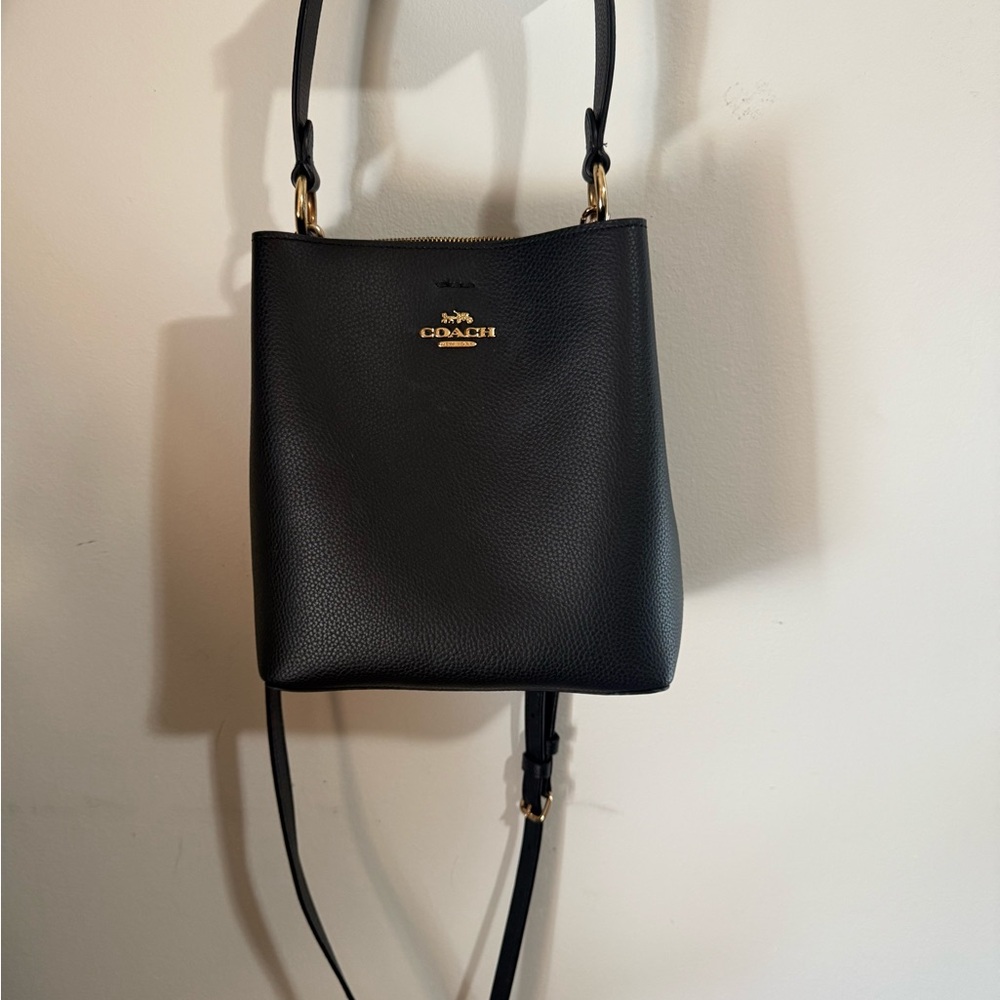 Coach small town bucket Bag